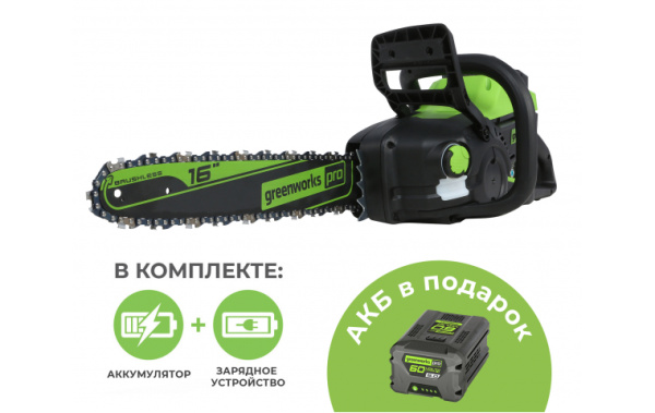 Пила цепная аккумуляторная GD60CS25 60В (в комплекте АКБ 5А/ч x 2 + ЗУ) Greenworks