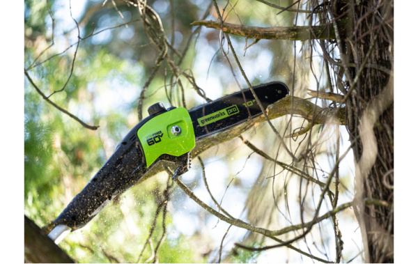 Высоторез аккумуляторный Greenworks GD60PST25 60В