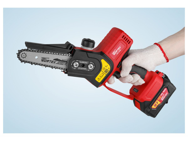 Аккум. мини-пила WORTEX CEC 2518 ALL1 с акб и зу в кор.